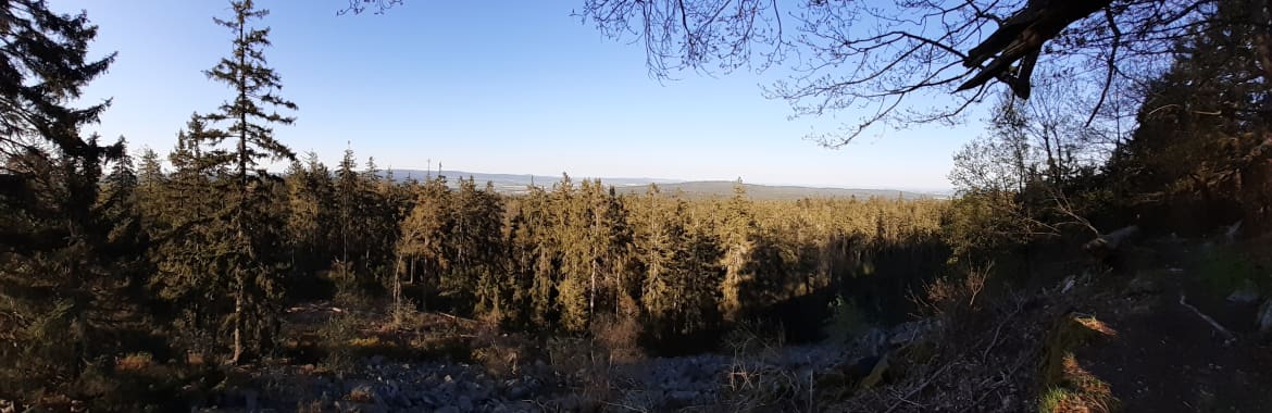 Panorama-tremsin