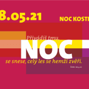 Nocplakat