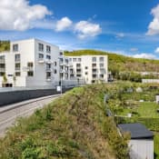 Waltrovka-pod-vidoulí-duben-2025-001sm