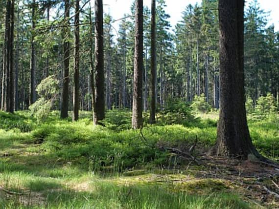 Porici-zajimavosti