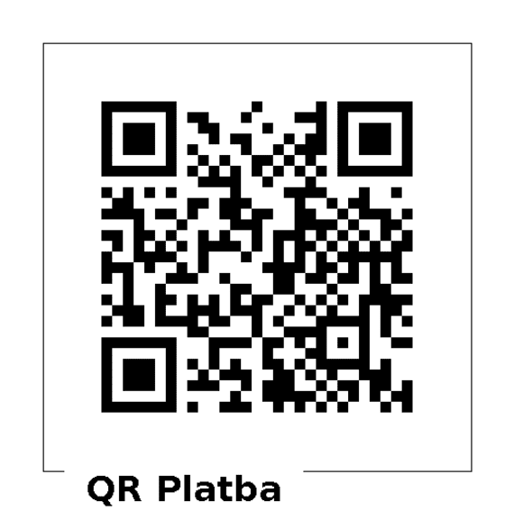 Qr-300