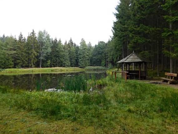 Tyn-zajimavosti