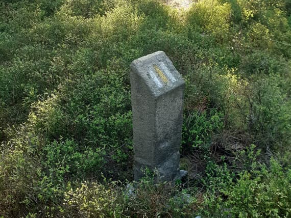 11-patnik-na-sir-1