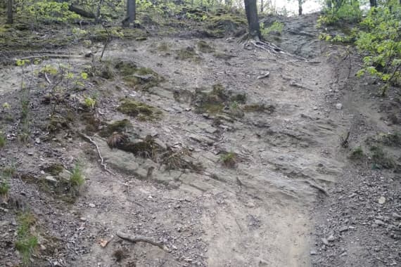 Trail-1-nov