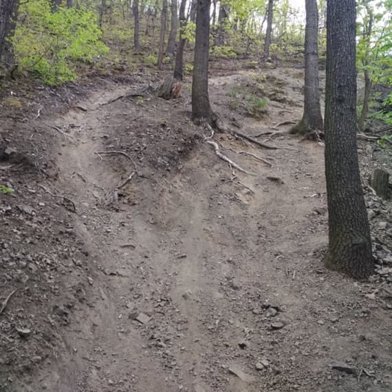 Trail-2-nov