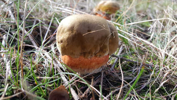 20171014-123149