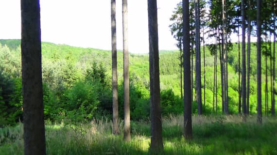 Dsc02034