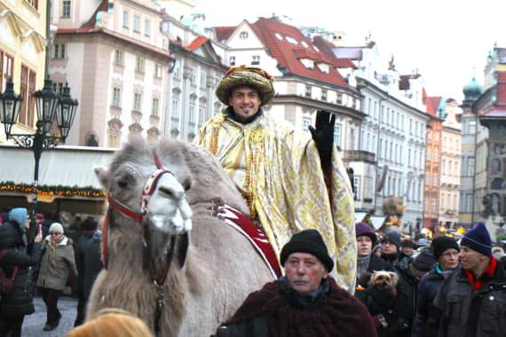 Velbloud
