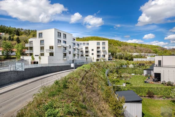 Waltrovka-pod-vidoulí-duben-2025-001sm