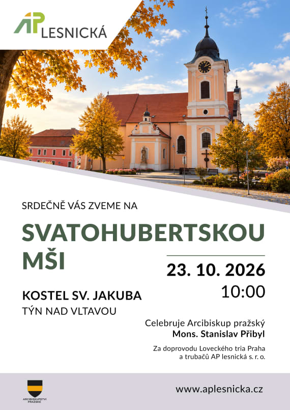 Hubertska mse