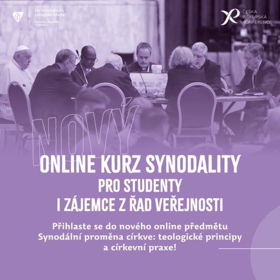 Online kurz synodality
