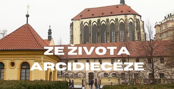 F659ea7a-d995-4fe9-9350-08a8550ca020