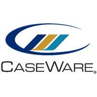 Caseware Nederland