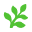Fern API