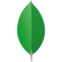 MongoDB MongoDB