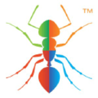 11Ants Analytics