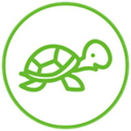 Tortii Tortii