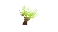 Colland Colland