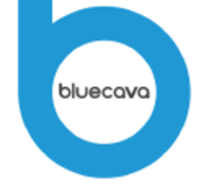BlueCava BlueCava