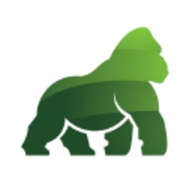 Gorilla Corporation Gorilla Corporation
