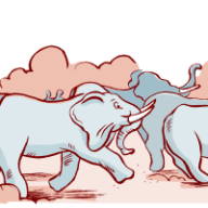 Pachyderm Pachyderm