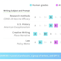 Essay Writing by EduRef 