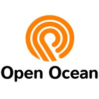 OpenOcean Finance