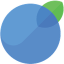 InvoiceBerry InvoiceBerry