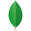 MongoDB MongoDB