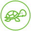Tortii Tortii