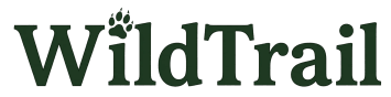 logo site