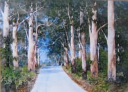 Scotts Rd Denmark WA