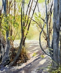 Lingering Light