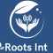 Roots Int. Onlineのアバター画像