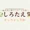 〜鍼灸あん摩マッサージの家〜しろたえのアバター画像