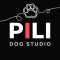 PILI Dog Studioのアバター画像