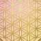 百合果 ✽ flower of life ✽のアバター画像