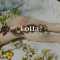 Lotta.のアバター画像