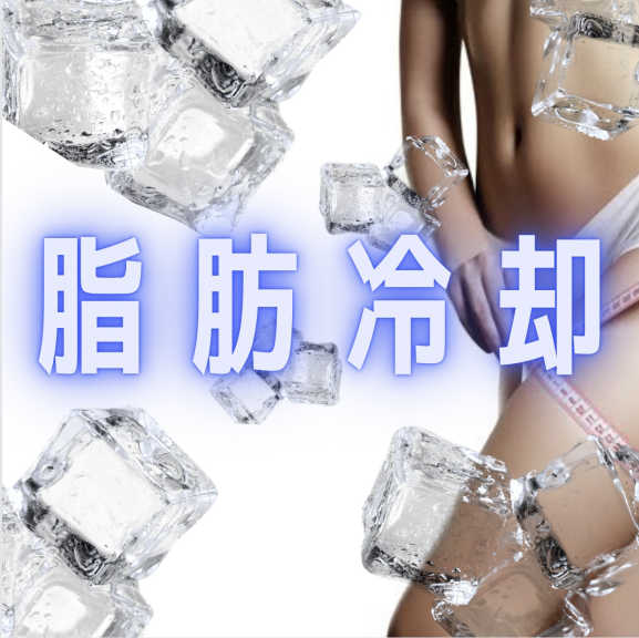 痩身】脂肪冷却?2カップ | tol