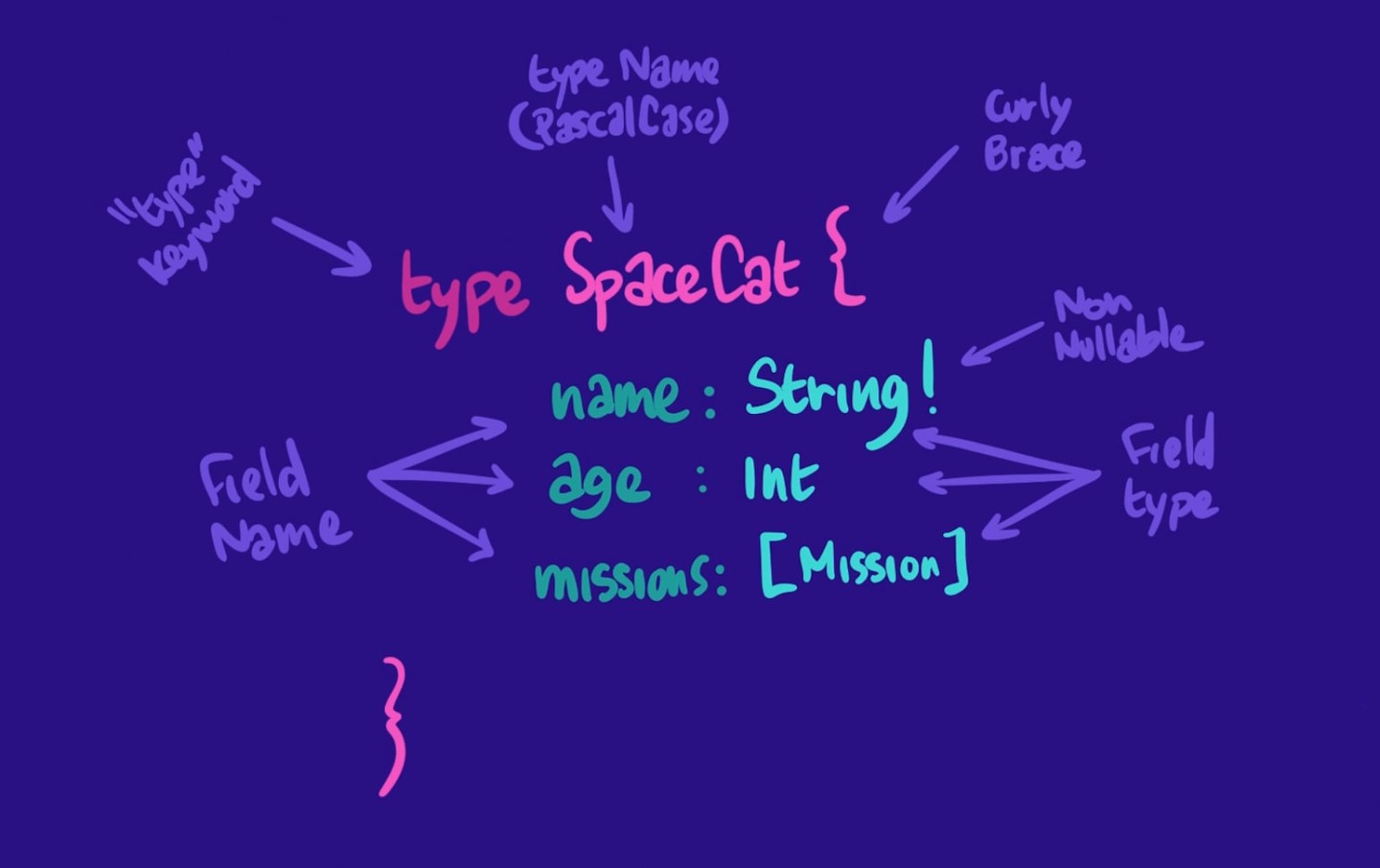 A doodle showing the SpaceCat type and its fields: name, age and missions