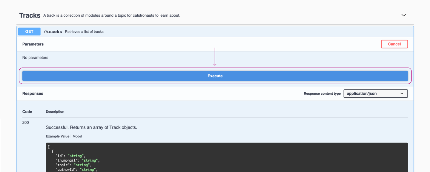 Screenshot identifying the Execute button for the tracks endpoint of the Catstronauts REST API