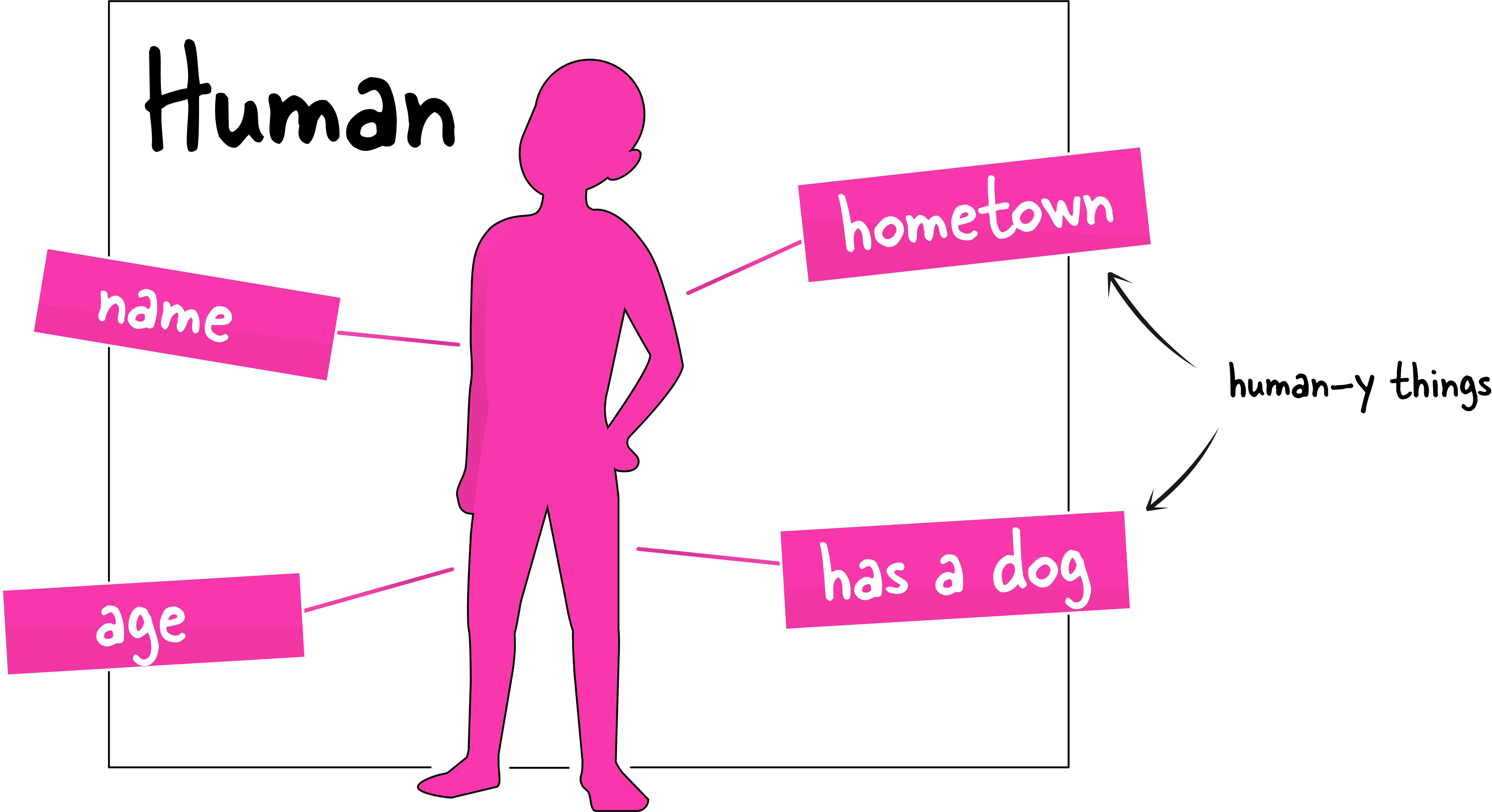 A human figure with various properties such as: name, age, hometown, and whether they have a dog.