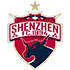 Shenzhen FC