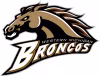 Western Michigan