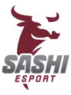 Sashi