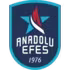 Anadolu Efes