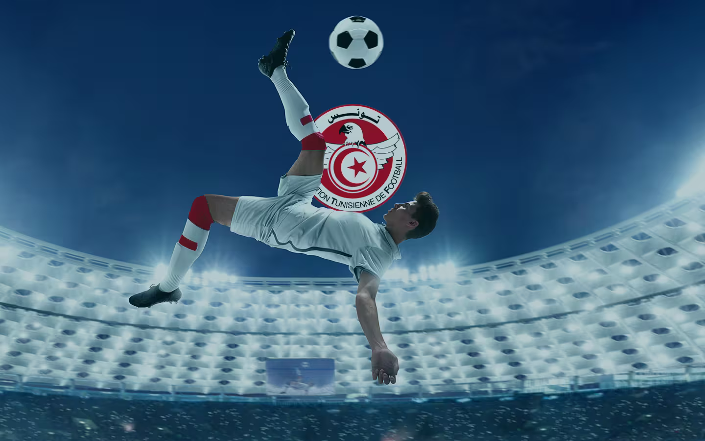 Odds da Tunísia na Copa do Mundo de 2022: Como apostar na seleção tunisiana