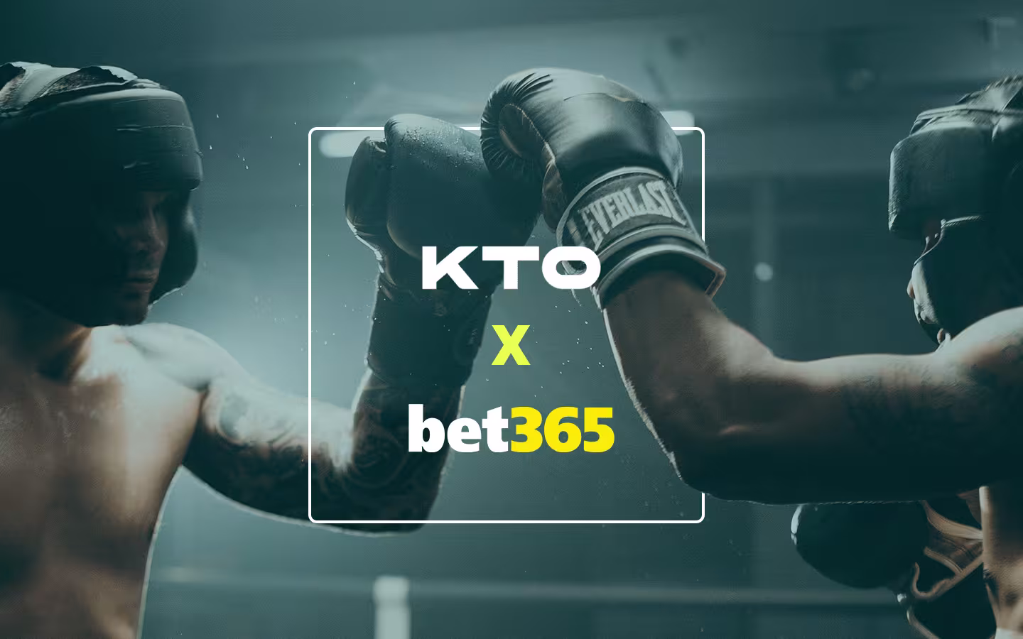 KTO ou Bet365? Qual a melhor escolha?