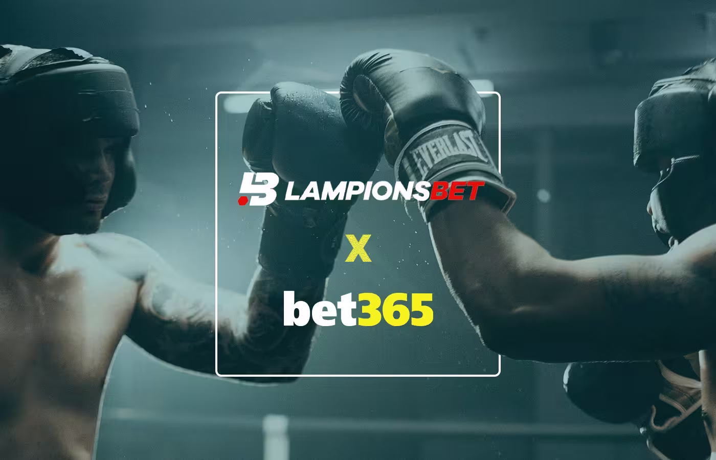 Lampions Bet x Bet365 - Quem ganha?