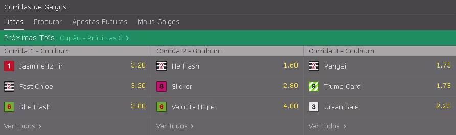 odds corrida de galgos bet365